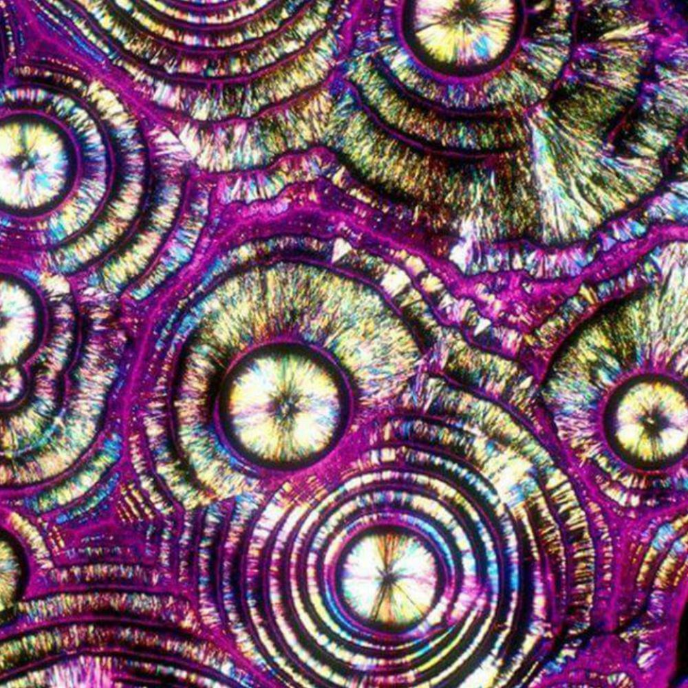 Meet your Posher, Allyson